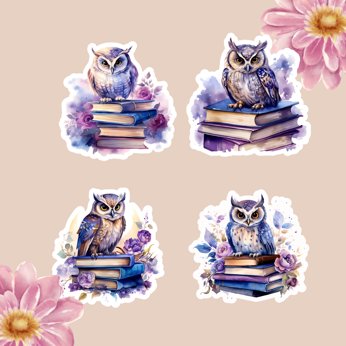 Escapades Owls and Books