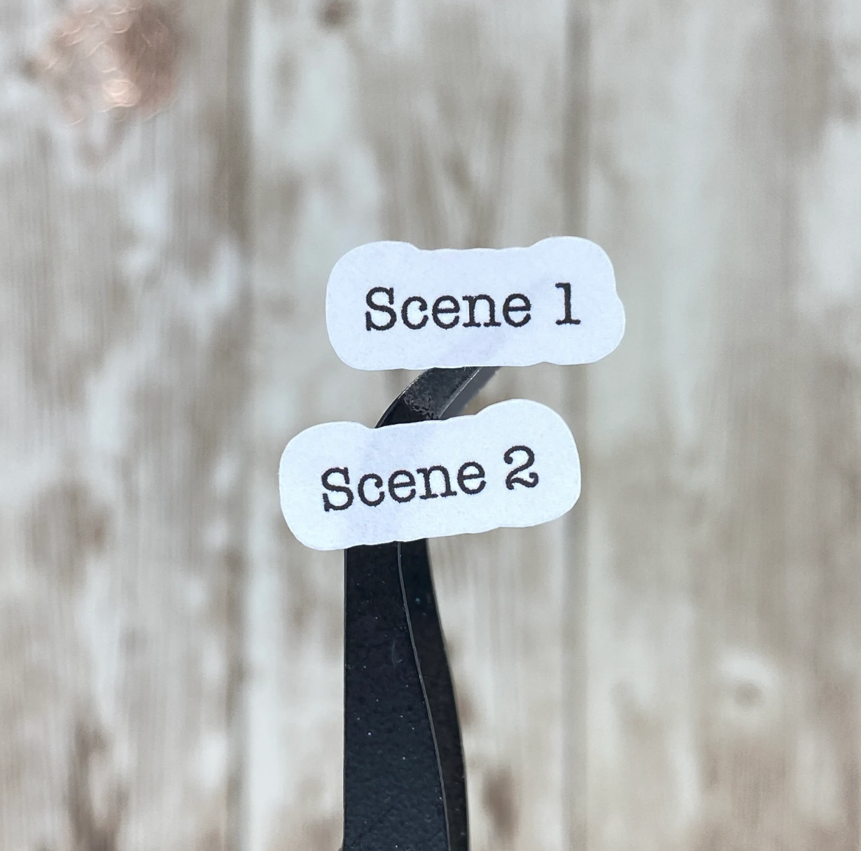 Plotting - Scene Headers