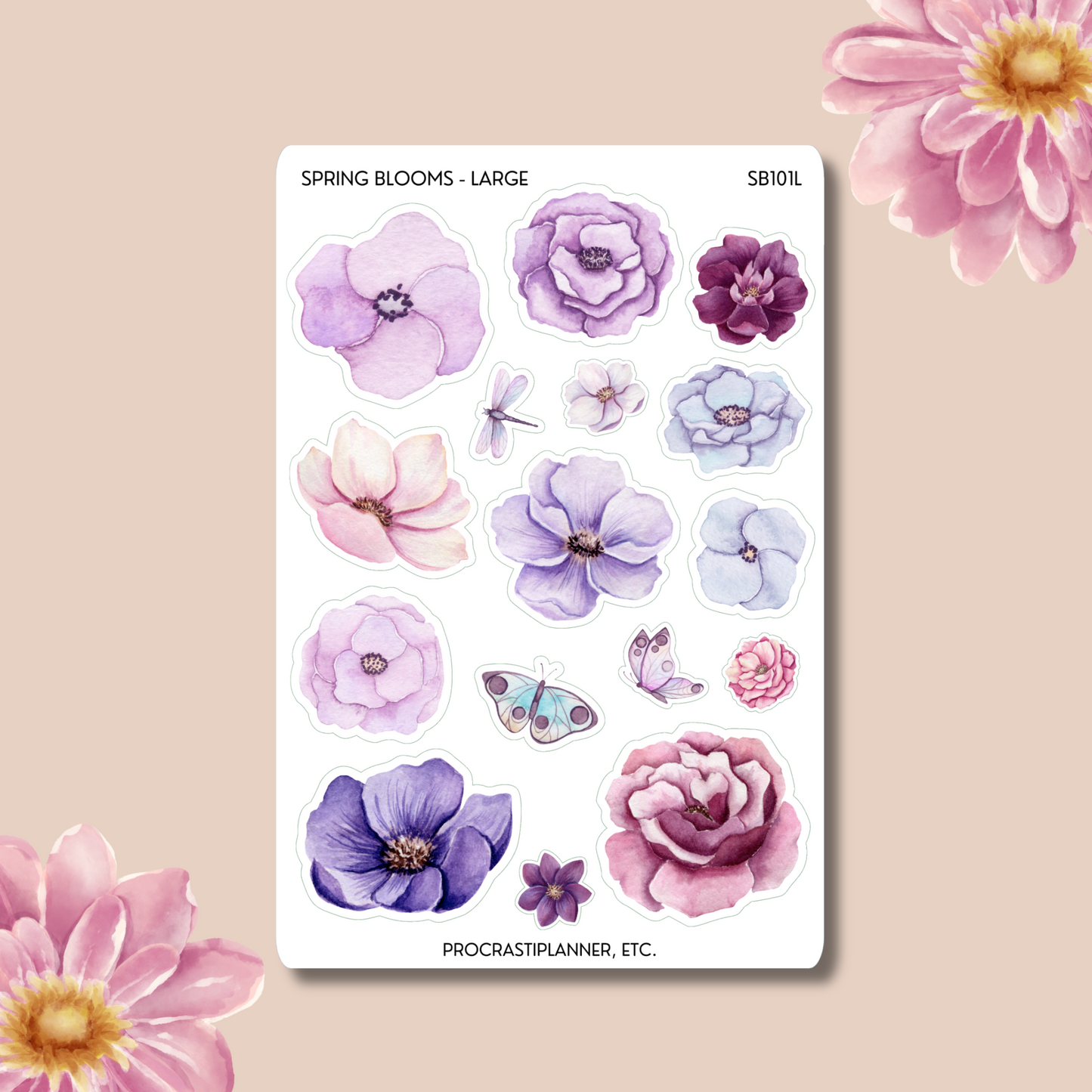 Spring Blooms Purple Flowers