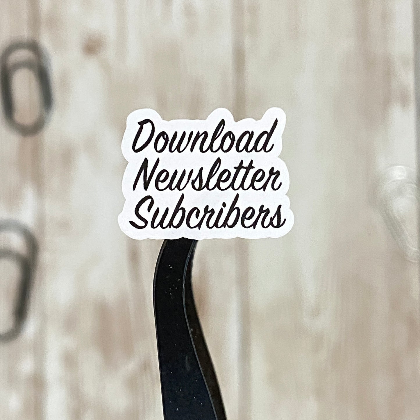 Text - Download Newsletter Subscribers Planner Stickers in White Matte and Clear Matte Paper for Journals, Planners or Agendas