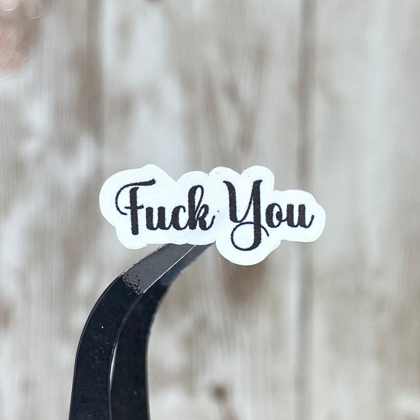 F*ck It All Swear Words Sampler Planner Stickers