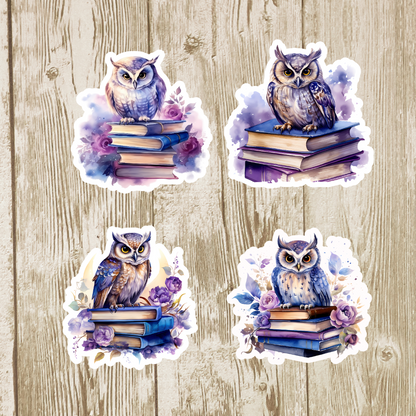 Escapades Owls and Books