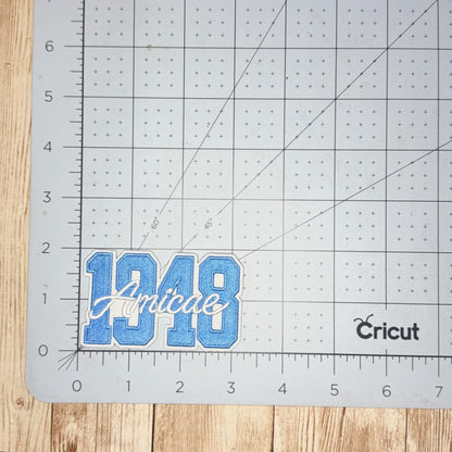 1948 Amicae Iron On Patch - Multiple Sizes